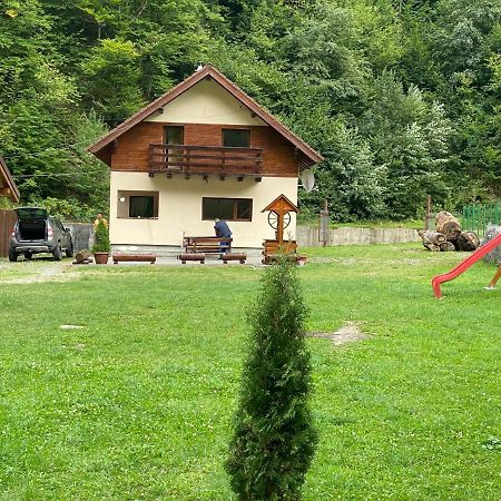 Casuta Din Poiana Rau Sadului Villa Ngoại thất bức ảnh