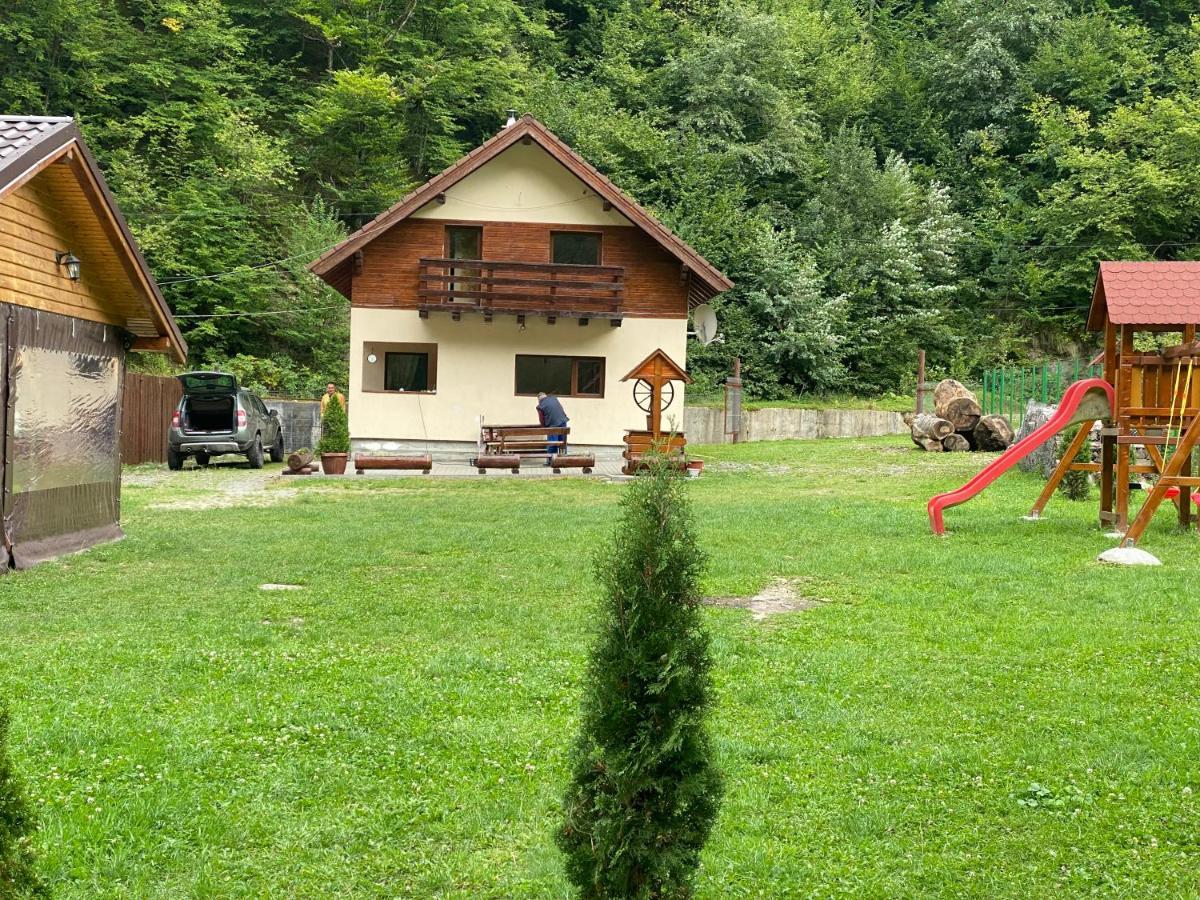 Casuta Din Poiana Rau Sadului Villa Ngoại thất bức ảnh